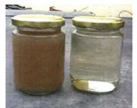 Membrane Bioreactor (MBR) and Permeate (R)