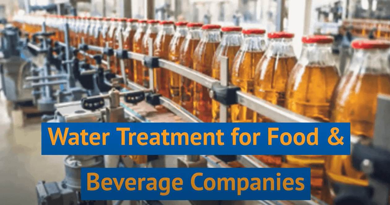 Food and Beverage
